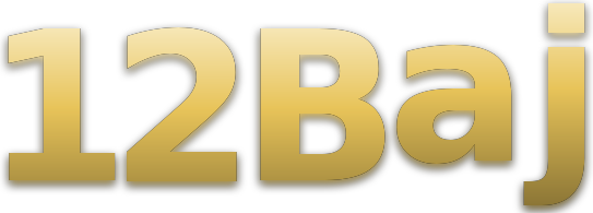 12 Baj logo